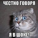 ���� ������, ������� ����, 66 ��� - ��������� 23 ���� 2018 � ������ ���� ����������