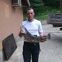 ���� ���������, ��������, 39 ��� - ��������� 12 ����� 2019