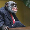 ���� ����, ���������, 38 ��� - ��������� 5 ������� 2018 � ������ ������ ��������