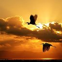 ���� Galina, ���������, 66 ��� - ��������� 22 ������� 2018 � ������ ������ ��������