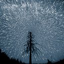 ���� ���������������������, ����, 53 ���� - ��������� 14 �������� 2018 � ������ ���� ����������