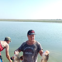 ���� �����, ������������, 42 ���� - ��������� 26 ������� 2018