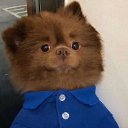 ���� Ruslan, ������ ��������, 50 ��� - ��������� 17 ������ 2019 � ������ ���� ����������