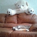 ���� Antoha, ������ ��������, 46 ��� - ��������� 20 ������� 2019