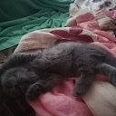 ���� ��������, ������, 39 ��� - ��������� 31 ������� 2018 � ������ ���� ����������