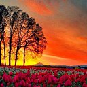 ���� Ahmed, ������, 49 ��� - ��������� 24 ������� 2018 � ������ ���� ����������