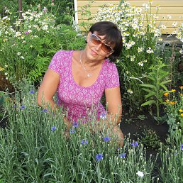 NinSan, 56, 
