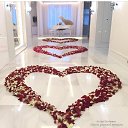 � � ��� ����) �� ������� ������ ��������