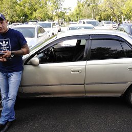 ���������, ������, 42 ����