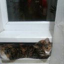 ���� ����, �������, 54 ���� - ��������� 1 ������� 2018 � ������ ���� ����������