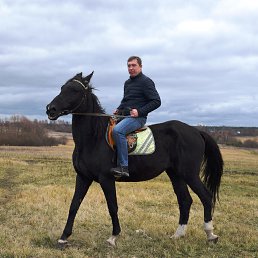 �����, ������, 44 ����