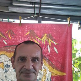 ���������, ������, 65 ���