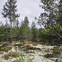 ���� ��������, �����������, 41 ��� - ��������� 17 �������� 2018 � ������ ���� ����������