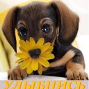 ���� ����, ������, 47 ��� - ��������� 19 ����� 2019 � ������ ���� ����������