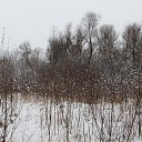���� ���������( �� �������), ��������� - ��������� 4 ������ 2019 � ������ �2018�