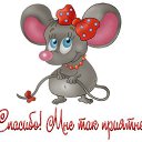 ���� �����, �����, 49 ��� - ��������� 25 ������� 2019 � ������ ���� ����������
