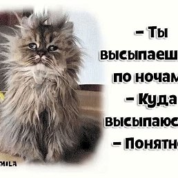 ���� �����, ���������, 58 ��� - ��������� 28 ������ 2018