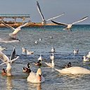 ���� Marlen, ����������� - ��������� 2 �������� 2018 � ������ ������ ��������
