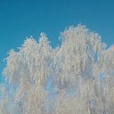 ���� Igor, ��������, 55 ��� - ��������� 30 ������ 2018