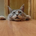 ���� ������, ��������, 54 ���� - ��������� 12 ������� 2018 � ������ ���� ����������