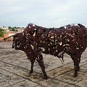 ���� �����, ������ ��������, 41 ��� - ��������� 4 �������� 2018 � ������ ���� ����������