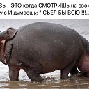 ���� �����, ������� - ��������� 14 �������� 2018 � ������ ���� ����������