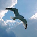 ���� �����, ������, 60 ��� - ��������� 6 ������� 2018 � ������ ���� ����������