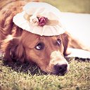 ���� ������, ������, 53 ���� - ��������� 23 ������ 2019