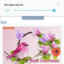 ���� ������, �������, 56 ��� - ��������� 23 ������� 2018 � ������ ���� ����������
