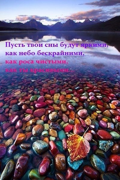   ,    . - 26  2019  21:32 - 2