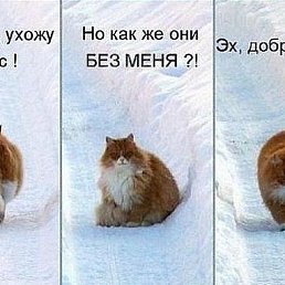 ���� ����, ��������, 59 ��� - ��������� 9 ������� 2018