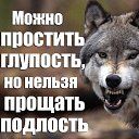 ���� ��������, �����, 43 ���� - ��������� 24 ������ 2018 � ������ ������ ��������