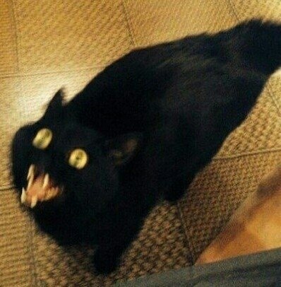    - 2