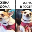 ���� �������, ������, 43 ���� - ��������� 26 ����� 2019 � ������ ���� ����������