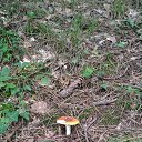  , , 60  -  4  2018   ,  ,04.08.18.