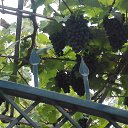 ���� ���������, �����-��������� - ��������� 30 ���� 2018 � ������ ������ ��������