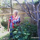 ���� ������, ���������, 82 ���� - ��������� 2 ������� 2019 � ������ ���� ����������