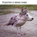 ���� ������ ������, ������, 50 ��� - ��������� 14 ������� 2019 � ������ ���� ����������