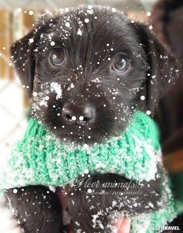 Allworld |    - 5  2018  16:34