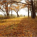 ���� ���������, ���������, 51 ��� - ��������� 30 ������� 2018 � ������ ���� ����������