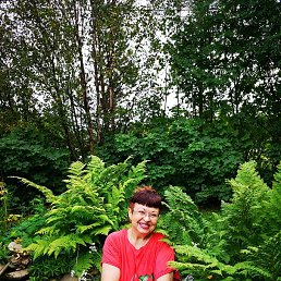 Antonina, ����������, 67 ���
