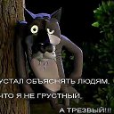  ,  -  12  2019    