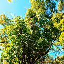 ���� U-jin, ������, 54 ���� - ��������� 19 �������� 2018 � ������ ���� ������-��������