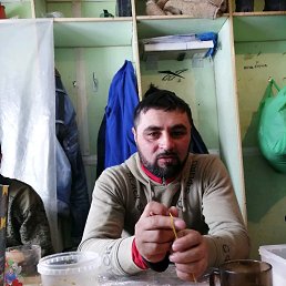 ����, ������������, 37 ���