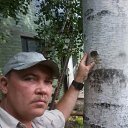 ���� ������, ����-�����������, 59 ��� - ��������� 15 ����� 2019