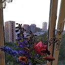 ���� �������, ����������� - ��������� 22 ������� 2018 � ������ ���� ����������