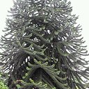 ���� ���������, �����������, 64 ���� - ��������� 23 ������� 2018