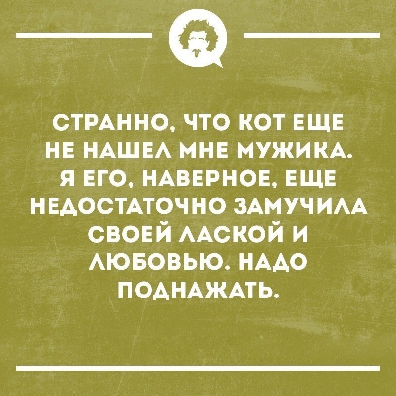 Чудеса случаются цитаты. Наверное еще что то. Милые котята с надписями. Наверное еще что то. Замуж страшно выходить.