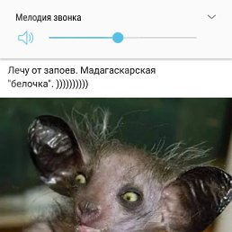 �������, ���������, 48 ���