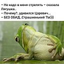 ���� �����, ������, 64 ���� - ��������� 3 ������� 2018 � ������ ������ ��������